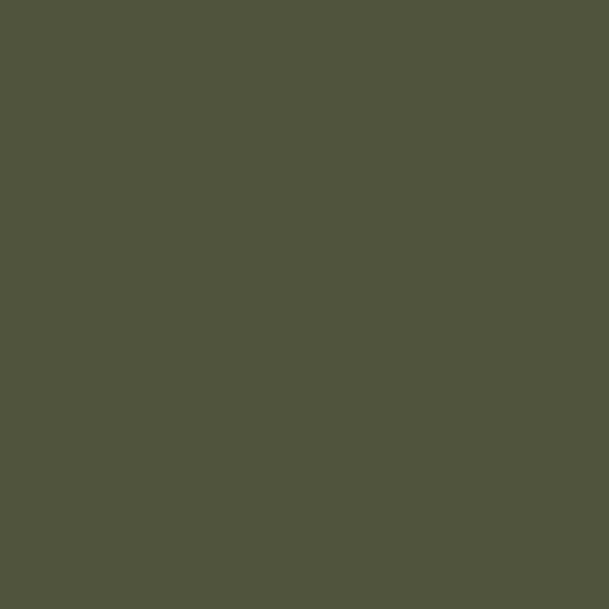 46 Military green matt