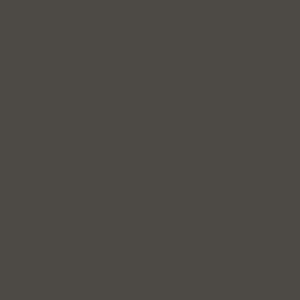 48 Moon grey matt