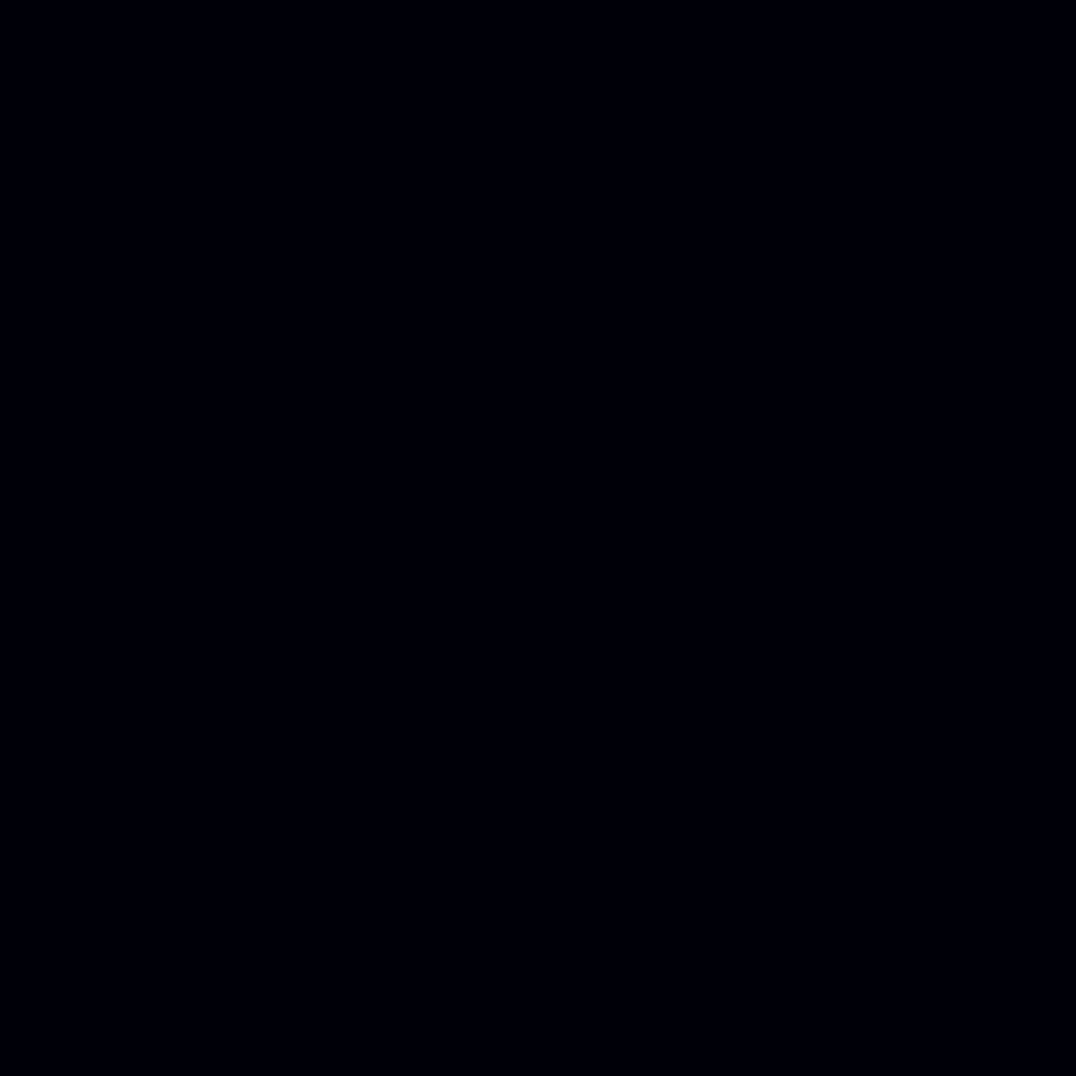 95 Black